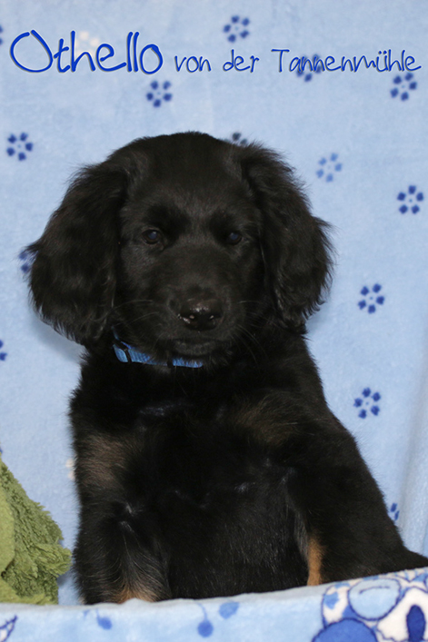 %_tempFileNameothello%