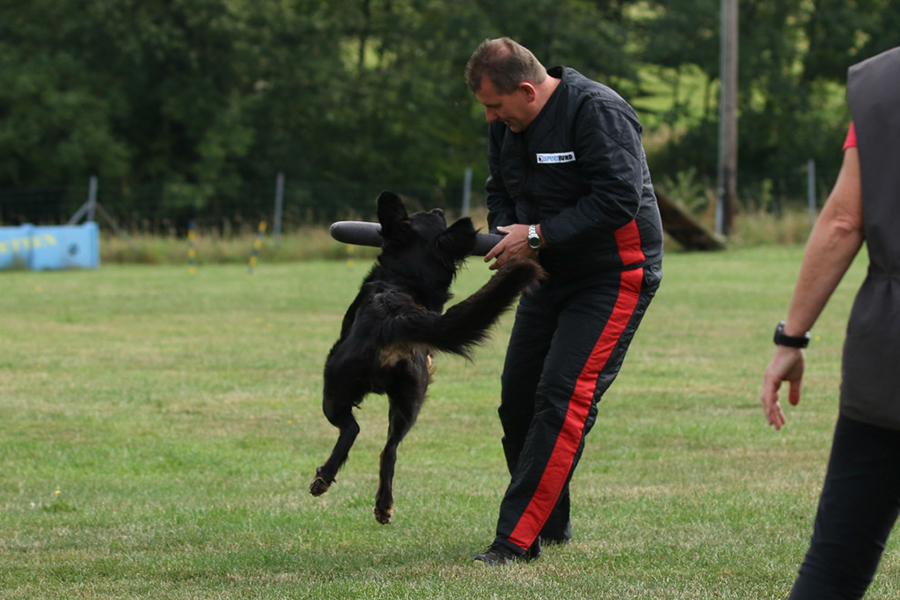 %_tempFileNameolea_nzb7%