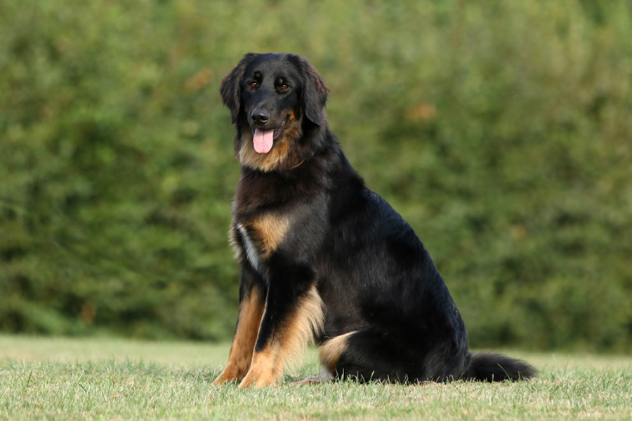 %_tempFileNameolga_nzb2%