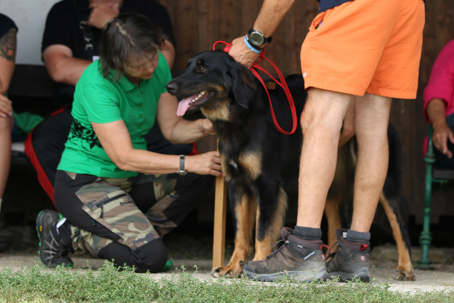 %_tempFileNameolga_nzb4%