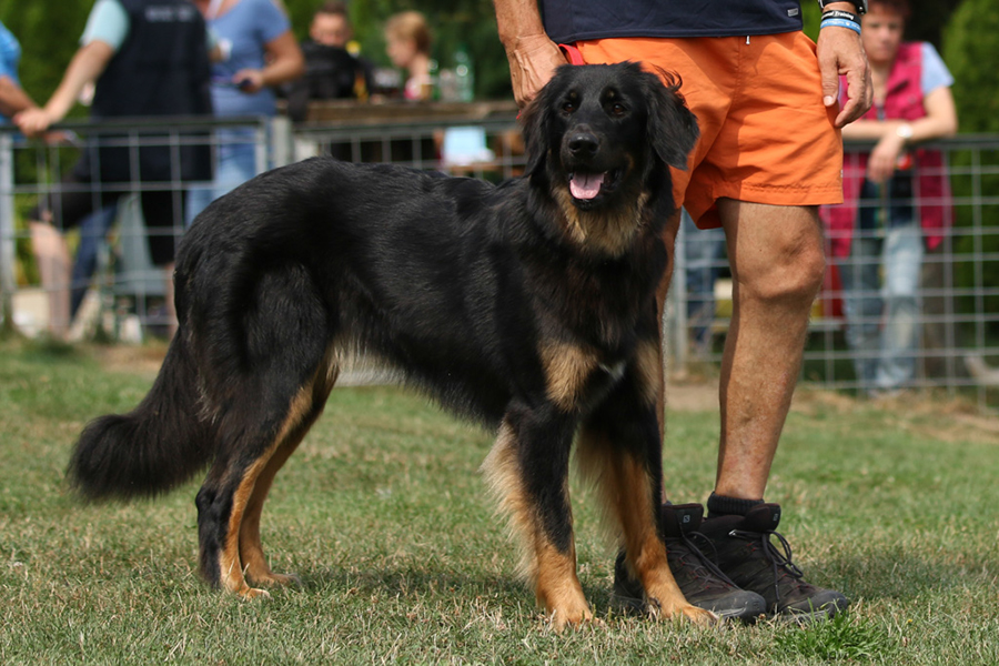 %_tempFileNameolga_nzb5%