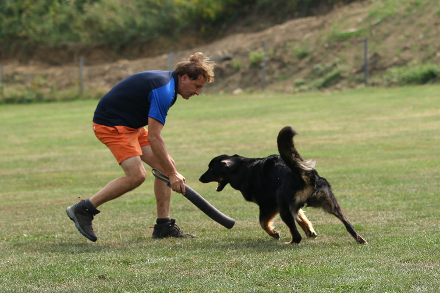 %_tempFileNameolga_nzb7%