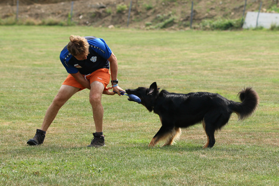 %_tempFileNameolga_nzb9%