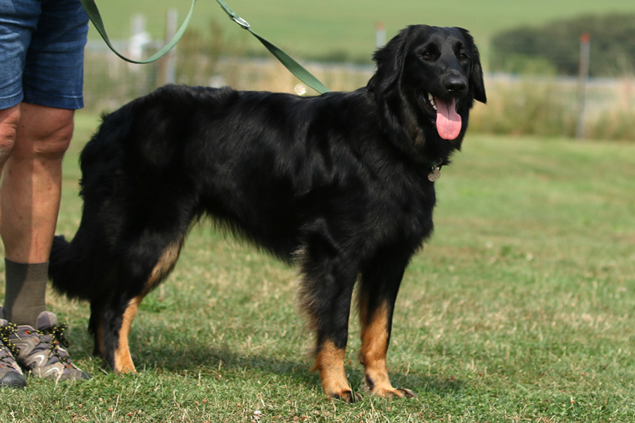 %_tempFileNameoona_nzb4%