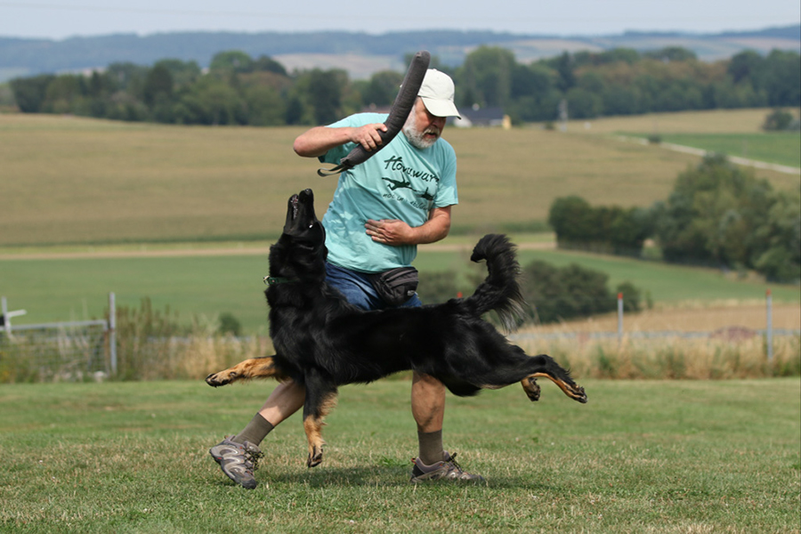 %_tempFileNameoona_nzb6%