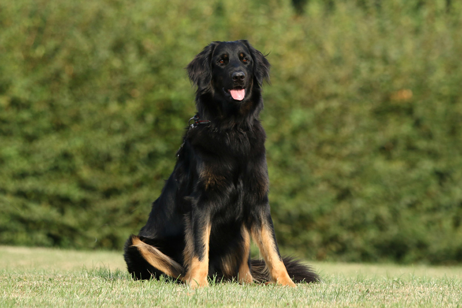 %_tempFileNameornella_nzb2%