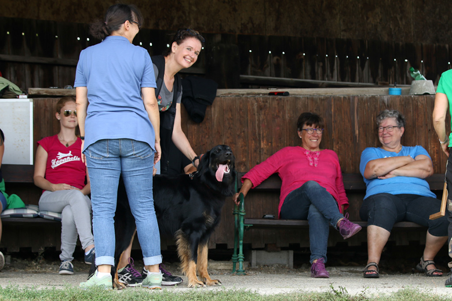 %_tempFileNameornella_nzb3%