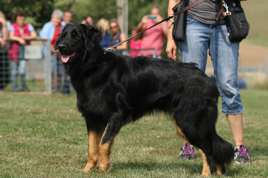 %_tempFileNameornella_nzb4%