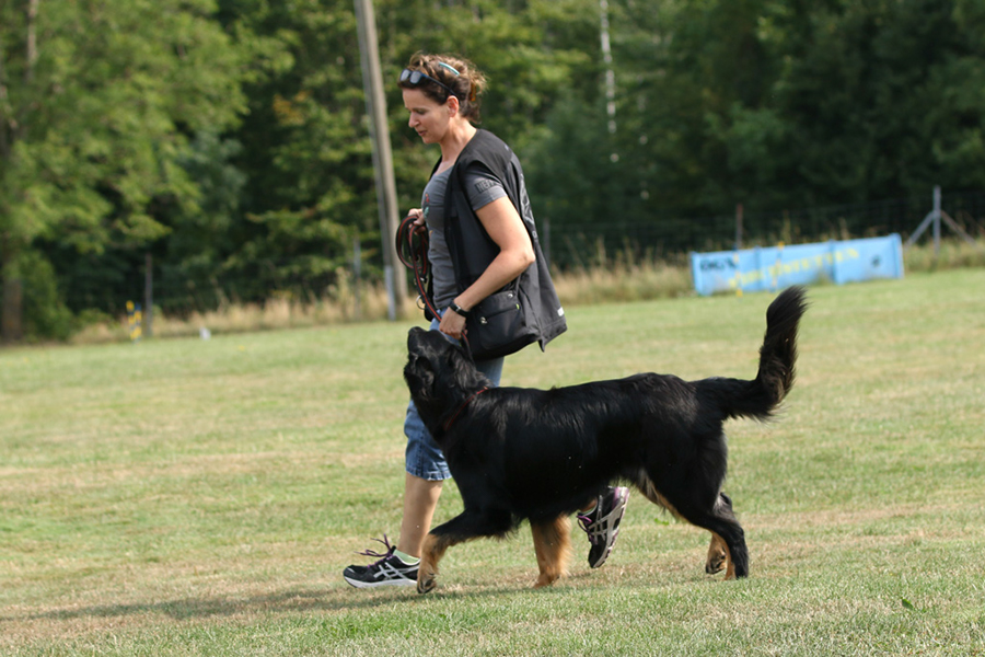 %_tempFileNameornella_nzb5%