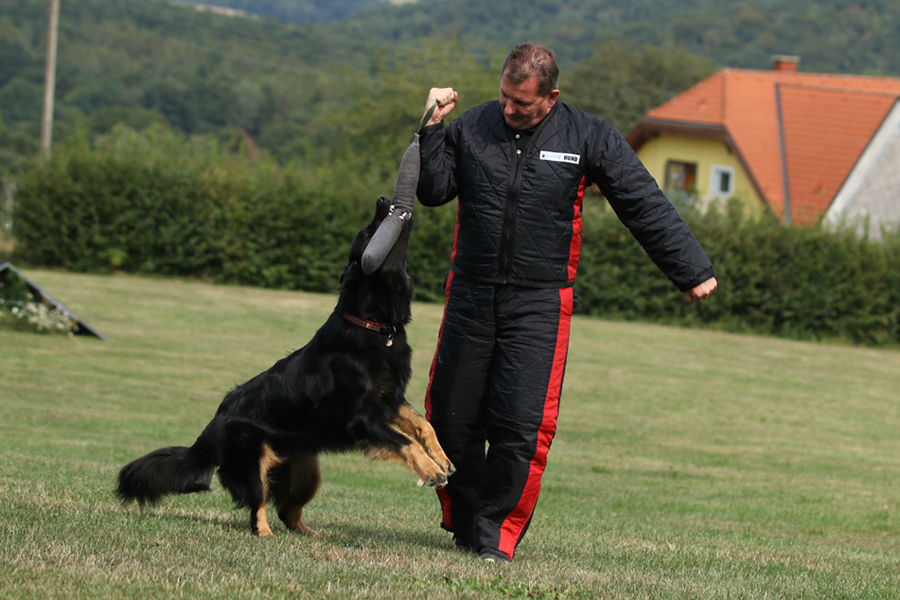 %_tempFileNameornella_nzb7%