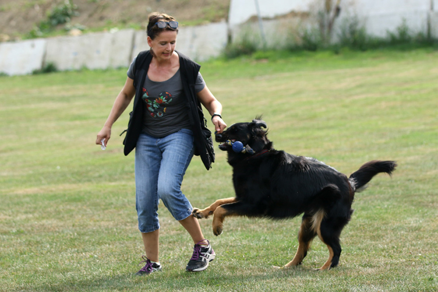 %_tempFileNameornella_nzb9%