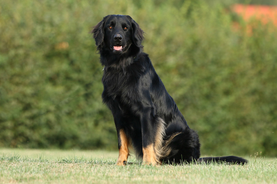 %_tempFileNameothello_nzb2%