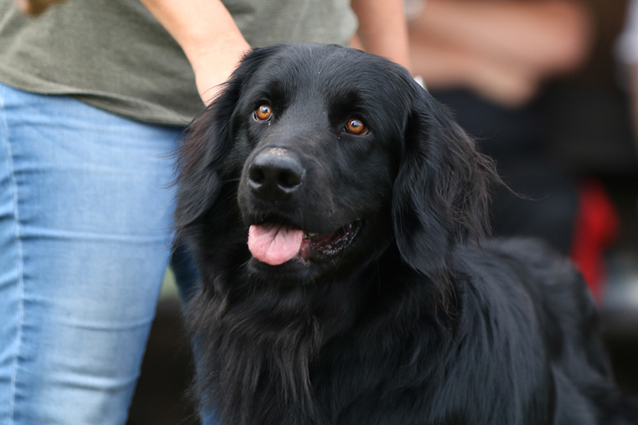 %_tempFileNameothello_nzb3%