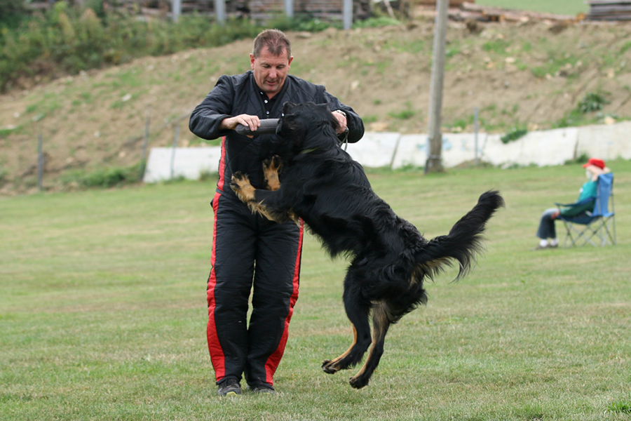 %_tempFileNameothello_nzb6%