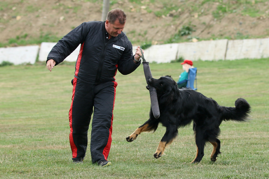 %_tempFileNameothello_nzb7%